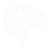 brain brain
